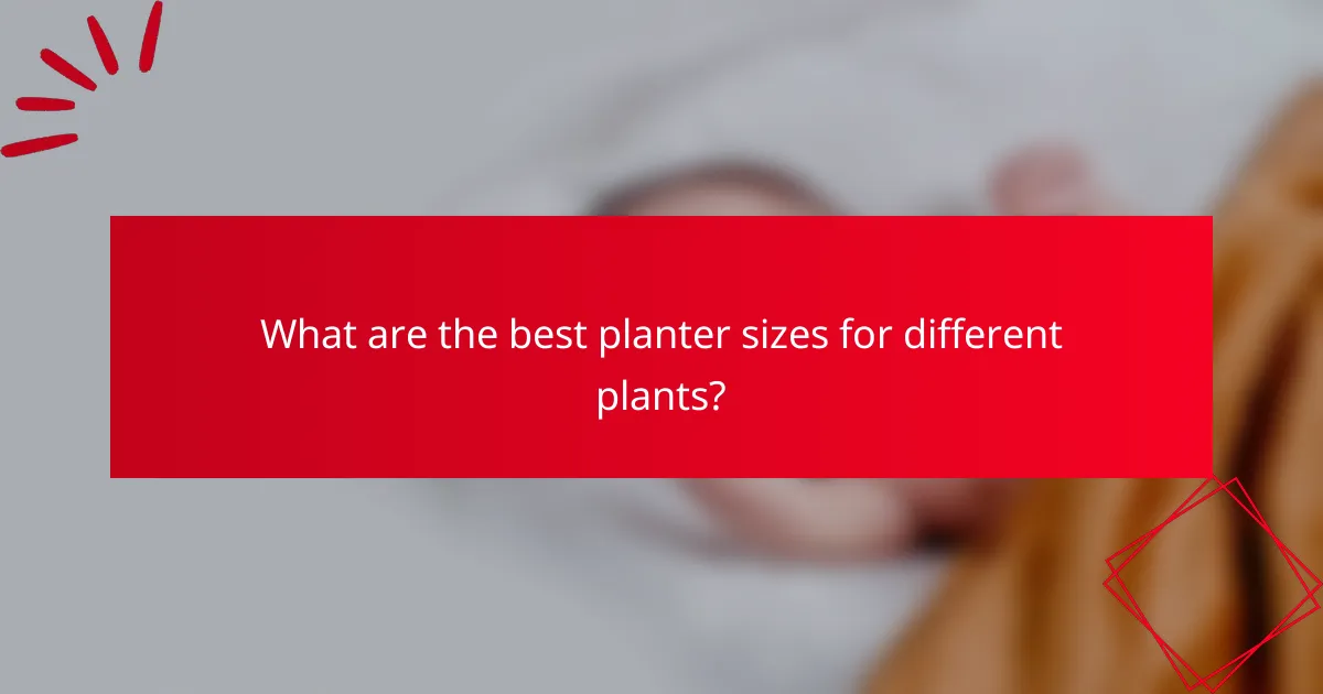 What are the best planter sizes for different plants?