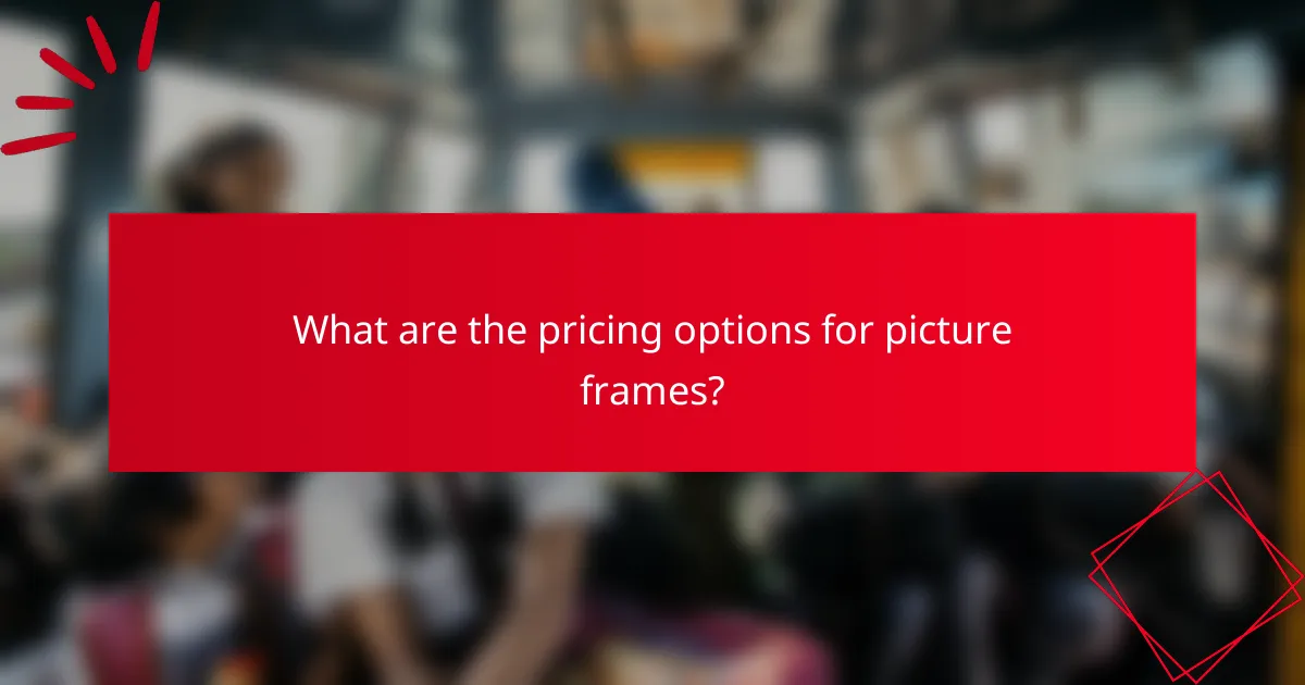 What are the pricing options for picture frames?