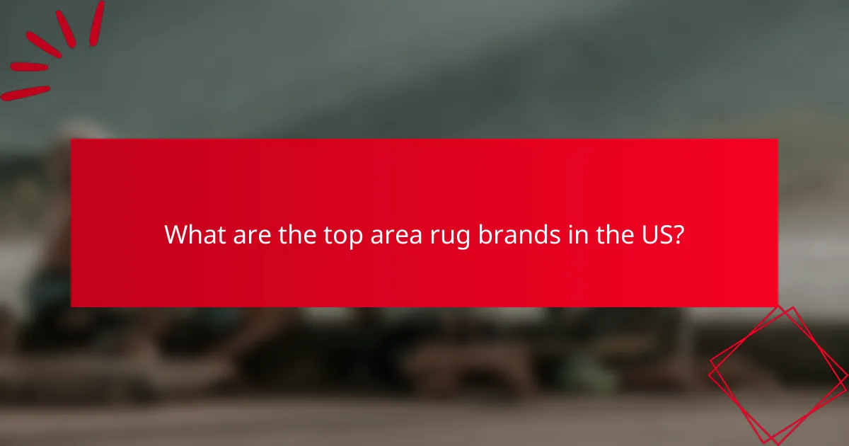 What are the top area rug brands in the US?