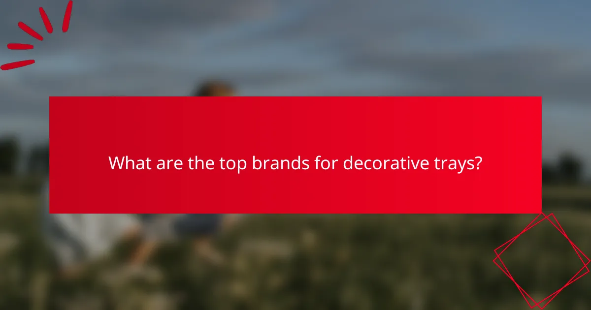 What are the top brands for decorative trays?